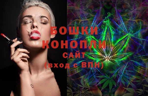 2c-b Мегион