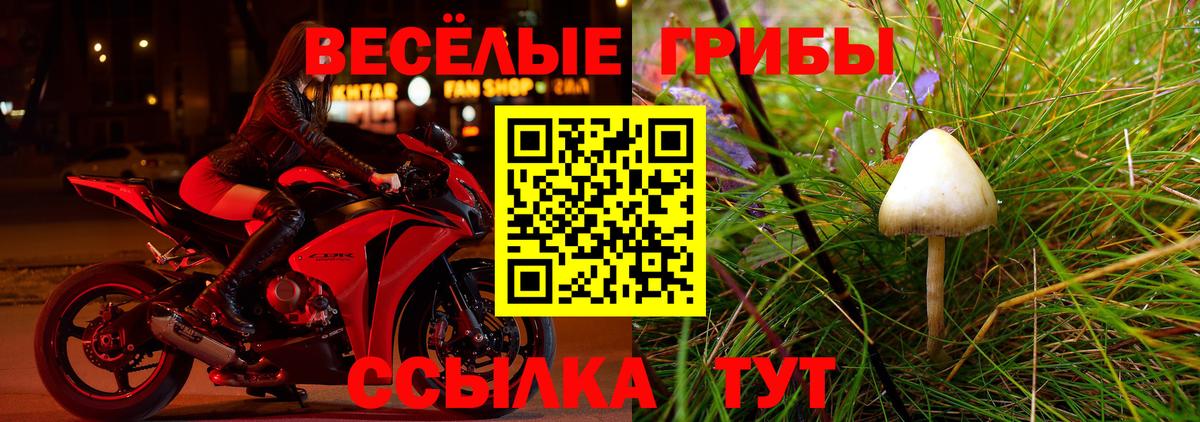 Псилоцибиновые грибы мухоморы  Вход с VPN  Кондопога  дарнет шоп  Псилоцибиновые грибы прущие грибы 