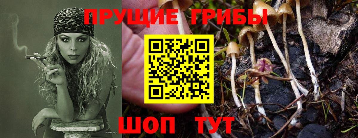Галлюциногенные грибы GOLDEN TEACHER Кондопога